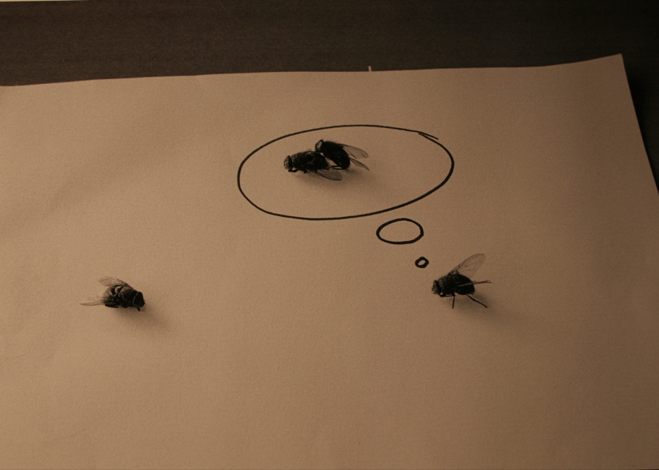 Rémi Noël "Love is in the air"