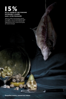 ADEME ENSAAMA - OLIVIER DE SERRES