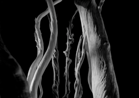 DIOR -  Homme Creaminal