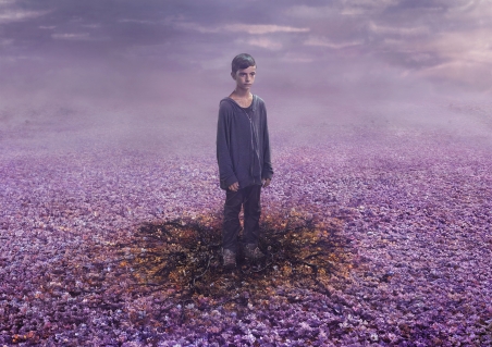 Canal+ Florence Moll & Associée