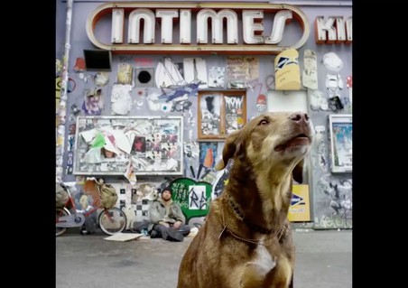 LABEL INFINE - RONE PARTIZAN